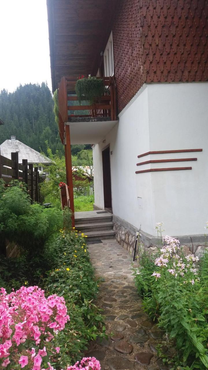 Casa De Vacanta Joldes Gîrda de Sus Exterior foto